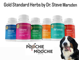 Gold Standard Herbs at Poochie Moochie