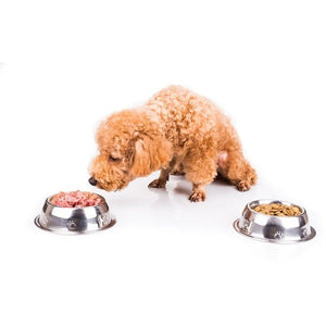 Benefits of a raw food diet for dogs and how to switch from kibble