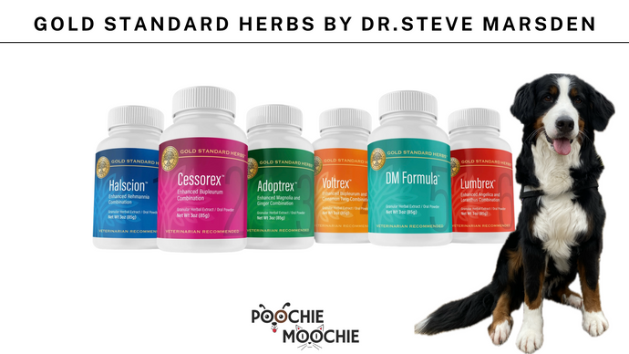 Gold Standard Herbs at Poochie Moochie