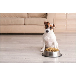 How to boost the nutrition of your dog or cat's kibble!