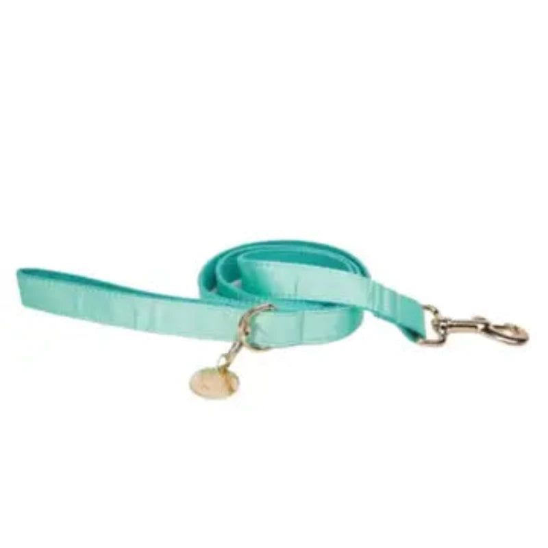 The Everyday Leash Aqua Mint Doggie Republic