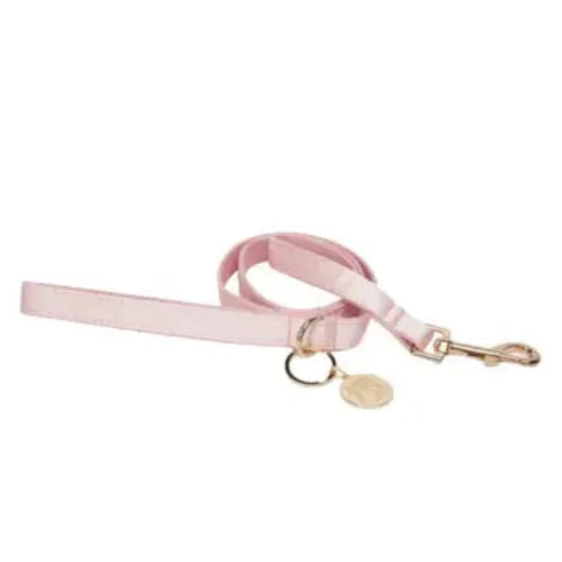 The Everyday Leash Ice Pink Doggie Republic