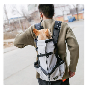 Amelia Nest Dog Backpack