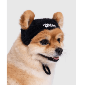 Canada Pooch Pawparazzi Beanie Black