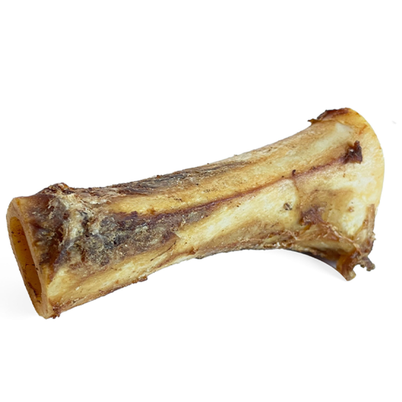 Open Range Cured Bone 6