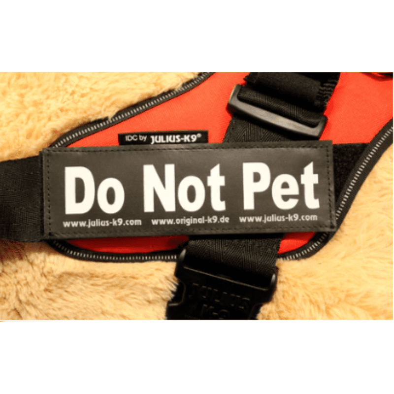 Julius K9 Do Not Pet Me Large Small Harness Labels