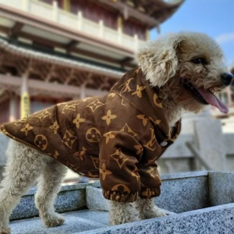 Lv store dog coat