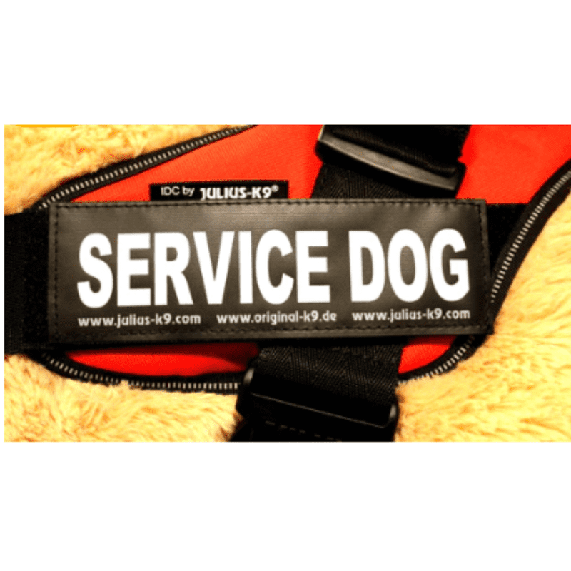 K9 harness clearance labels