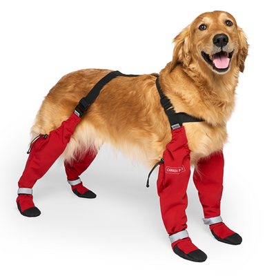 Suspender Boots by Canada Pooch - All Sizes - Red