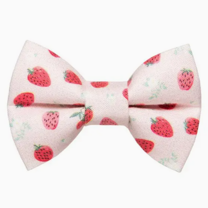 Sweet Pickles Designs Bow Ties