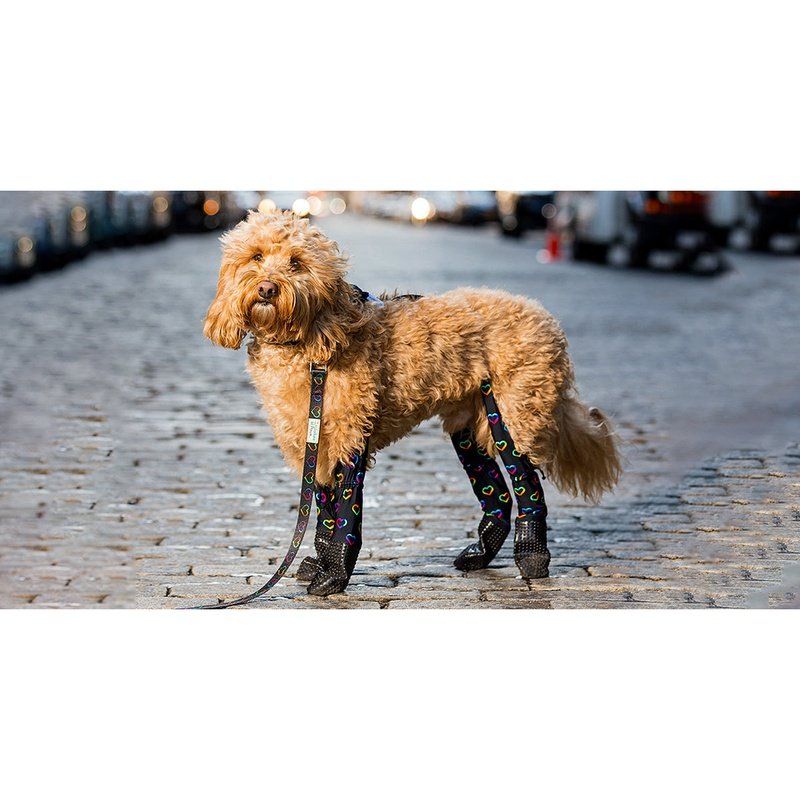 WALKEE PAWS Dog Boot Leggings, Small Dog Sizes, Seen on Shark Tank,  Adjustable Fit Protects from Hot, Cold, Wet Weather, Allergens & Chemicals,  Never Lose a Boo… | Dog boots, Boots and