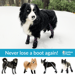 Walkee Paws Dog NEW DELUXE Boot Leggings 4 sizes 4 Colors Edmonton Dog Boots Poochie Moochie Poochie Moochie Pet Store West Edmonton