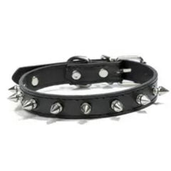 Leather Studded Spike Collars for Small Medium Dogs Poochie Moochie Pet Store West Edmonton