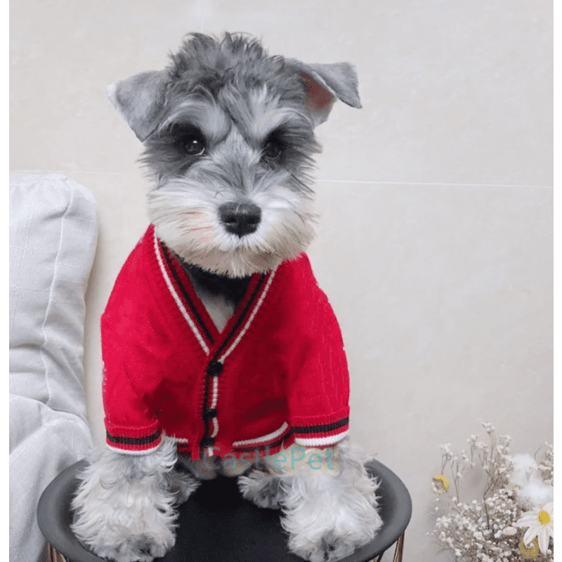 Dog cardigan clearance sweater