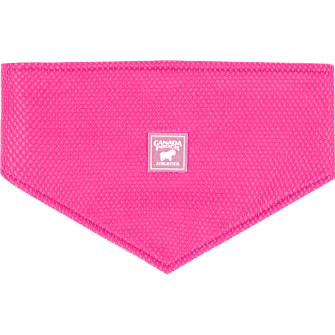 Canada Pooch Cooling Bandana Neon Pink