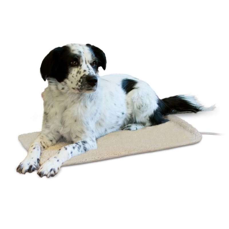 Dog bed outlet heater