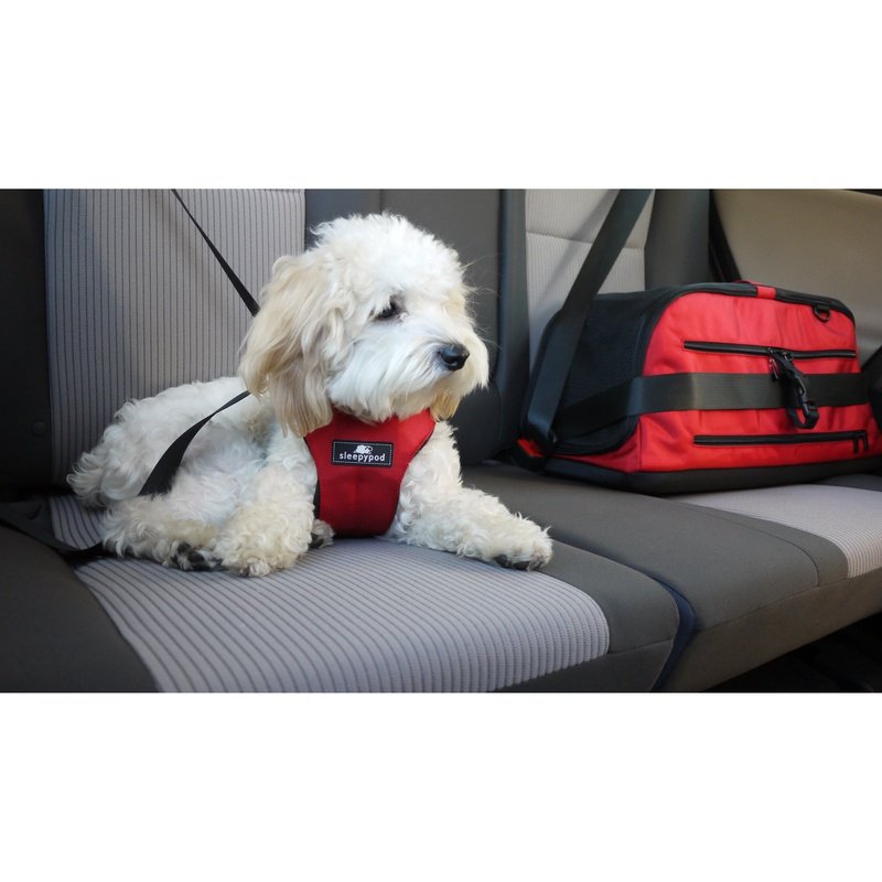 Crash-Tested Easy Rider Car Harness by Coastal Pet Products