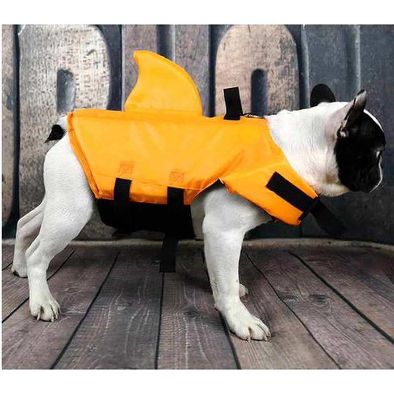 Corgi shark outlet life jacket