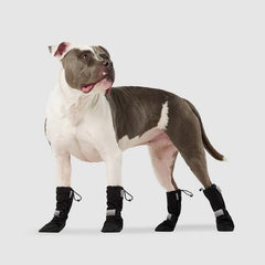 Poochie boots shop