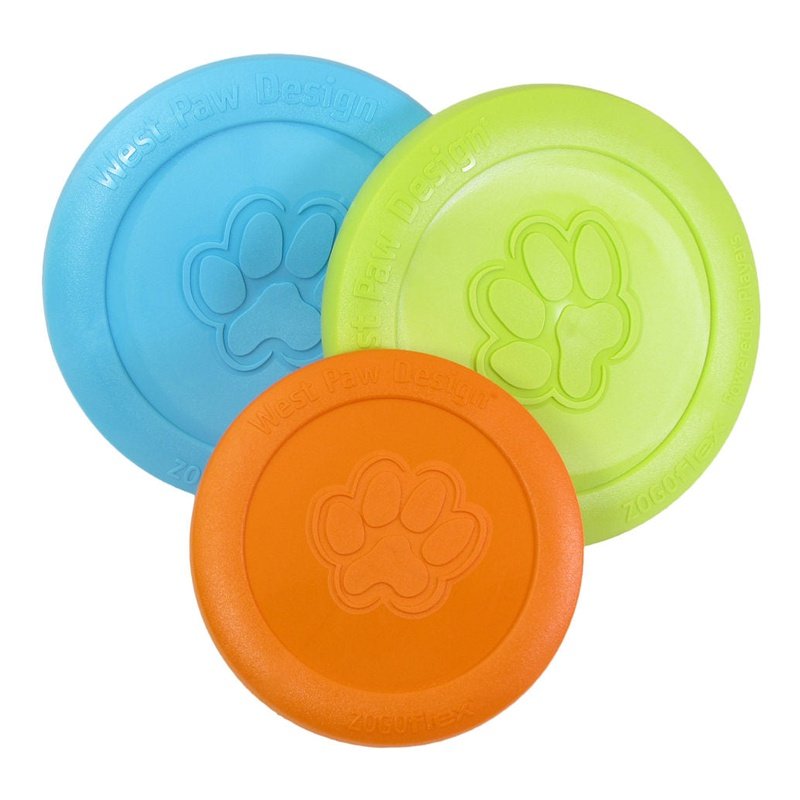 Bulk frisbees shop for dogs